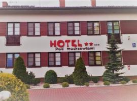 HOTEL** - Restauracja Modrzewiowa，位于Rypin的酒店