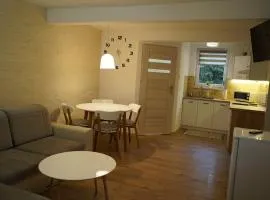 Apartament Nałęczów dom pod orzechami