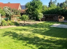 Modernes Zimmer mit Küchenzeile und Bad