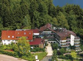 Naturpark Hotel Ebnisee，位于Kaisersbach的酒店