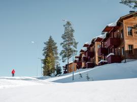 Ski-Inn AurinkoRinne，位于鲁卡的酒店