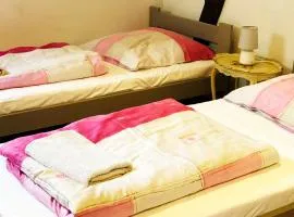 阿哥图里丝缇卡农家乐