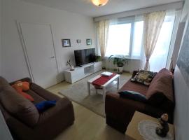 City centre apartment Siilinjärvi
