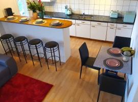 Swiss Mountains Apartments，位于因特拉肯的酒店