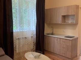 Apartments Konvalia，位于特鲁斯卡韦茨的酒店