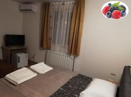 FRUCTELE PĂDURII，位于Baia de Arieş的酒店