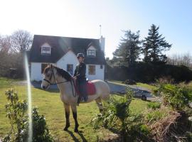 Letterfrack Farmhouse on equestrian farm in Letterfrack beside Connemara National Park，位于Tullywee Bridge的乡村别墅