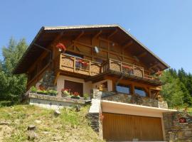 Les Saisies côté Bisanne appartement dans chalet LE Népal，位于雷塞兹的酒店