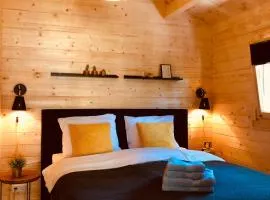 LODGE 5 Zandvoort，位于赞德沃特的木屋