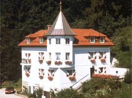 腾纳沃特别墅，位于萨尔茨堡的酒店