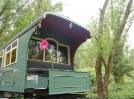 pipowagen/paardentram