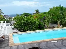 3 bedrooms villa with sea view private pool and enclosed garden at Saint Martin 2 km away from the beach