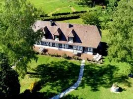 Les mouettes - la paix du bord de Seine