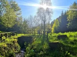 Haus Astenblick in Winterberg für bis zu 35 Personen für Wanderveranstaltungen und Familienfeiern