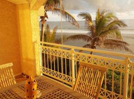 Appartement cosy avec vue sur la mer - 50 m² - Les Trois Bassins，位于Le Bois de Nèfles的酒店