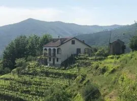 Villa ELENA