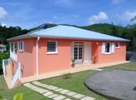 Maison charmante au Diamant - Vue jardin - Climatisée