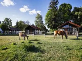 Pferdehof Schorfheide