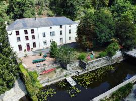 Moulin Pont Vieux Chambres d'hôtes，位于Mortagne-sur-Sèvre的酒店