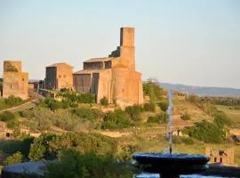 One bedroom appartement with city view and terrace at Tuscania