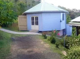 Bungalow charmant au Robert avec piscine partagee et jardin