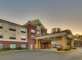 Holiday Inn Express & Suites Laurel by IHG，位于劳雷尔的酒店