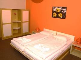 Hotel Bor，位于Třebechovice pod Orebem的酒店