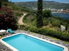 3 bedrooms villa with city view private pool and enclosed garden at Lamego 3 km away from the beach