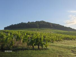 La maison du vigneron，位于Ternand的低价酒店