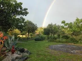 Quinta Sarnadela - Spacious 3 bedroom house with in beautiful gardens