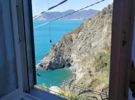 One bedroom apartement with wifi at Corniglia