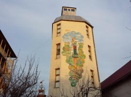 缇利格尔酒店，位于Tîrnauca的酒店