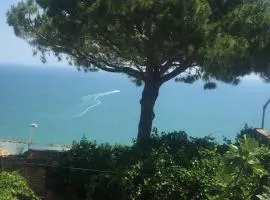 Sospeso fra cielo e mare