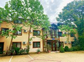 卡迪纳尔酒店，位于萨图马雷的酒店