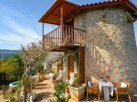 Traditional Windmill-Milos