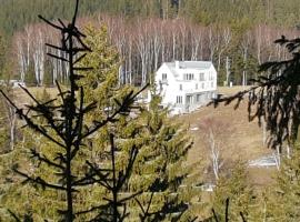 Apartm&aacute;ny Str&aacute;ň，位于Potŭčky的滑雪度假村