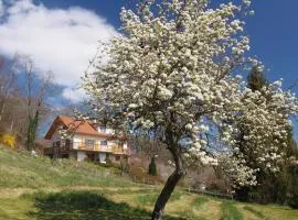 Le Merle Enchanteur