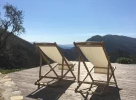 Encanto Di Arlia