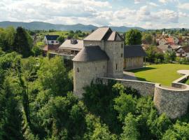 Vinica Castle Boutique & Spa Hotel，位于维尼察的酒店