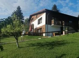 Chata Panorama Beskidów