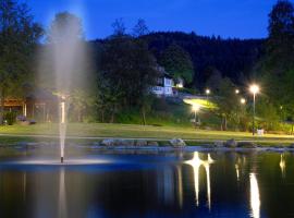 Familotel Mein Krug，位于瓦门施泰纳赫的酒店