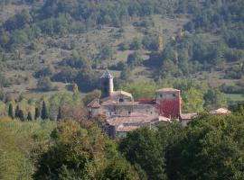 Château de Camon，位于Camon的酒店