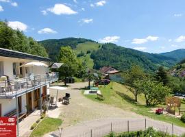 Steiert Panorama Apartments Todtnau，位于托特瑙的公寓