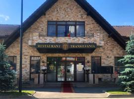VILA Restaurant Transilvania，位于泽尔内什蒂的酒店