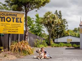 Goldmine Motel，位于怀希的汽车旅馆