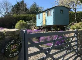 Shepherds Hut in the Hills - Nr. Mold
