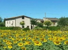 Agriturismo"Il Sagrato di Assisi" appartamenti,camere