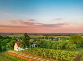 Village Wine House，位于Mandićevac的酒店