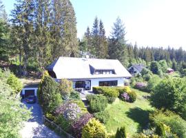 Schwarzwald-Villa mit Indoor-Pool，位于费尔德伯格的乡村别墅