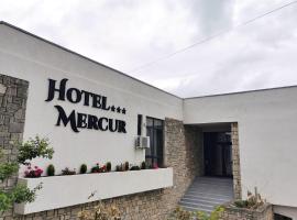 Hotel Mercur，位于南埃福列的酒店